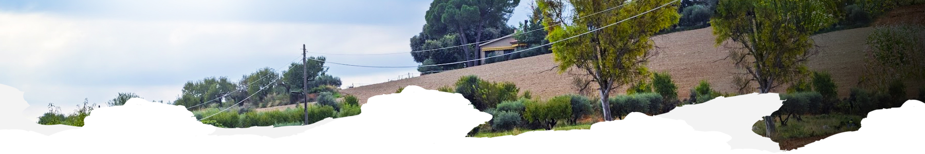 Som Vallès Trail | Caminada solidària per equips