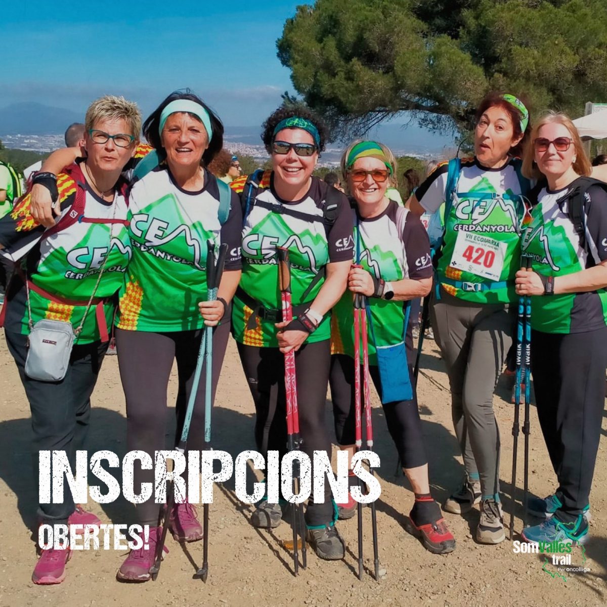 Ja hi ha el primers equips!!!